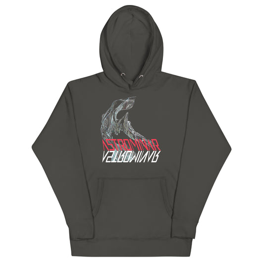 Unisex Premium Hoodie | ASTROMINAR Astronaut Blessing